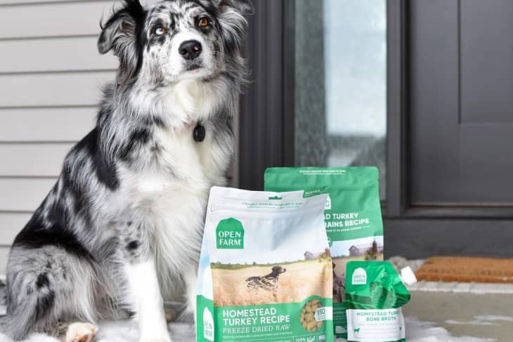 Trader joe's wet outlet dog food review